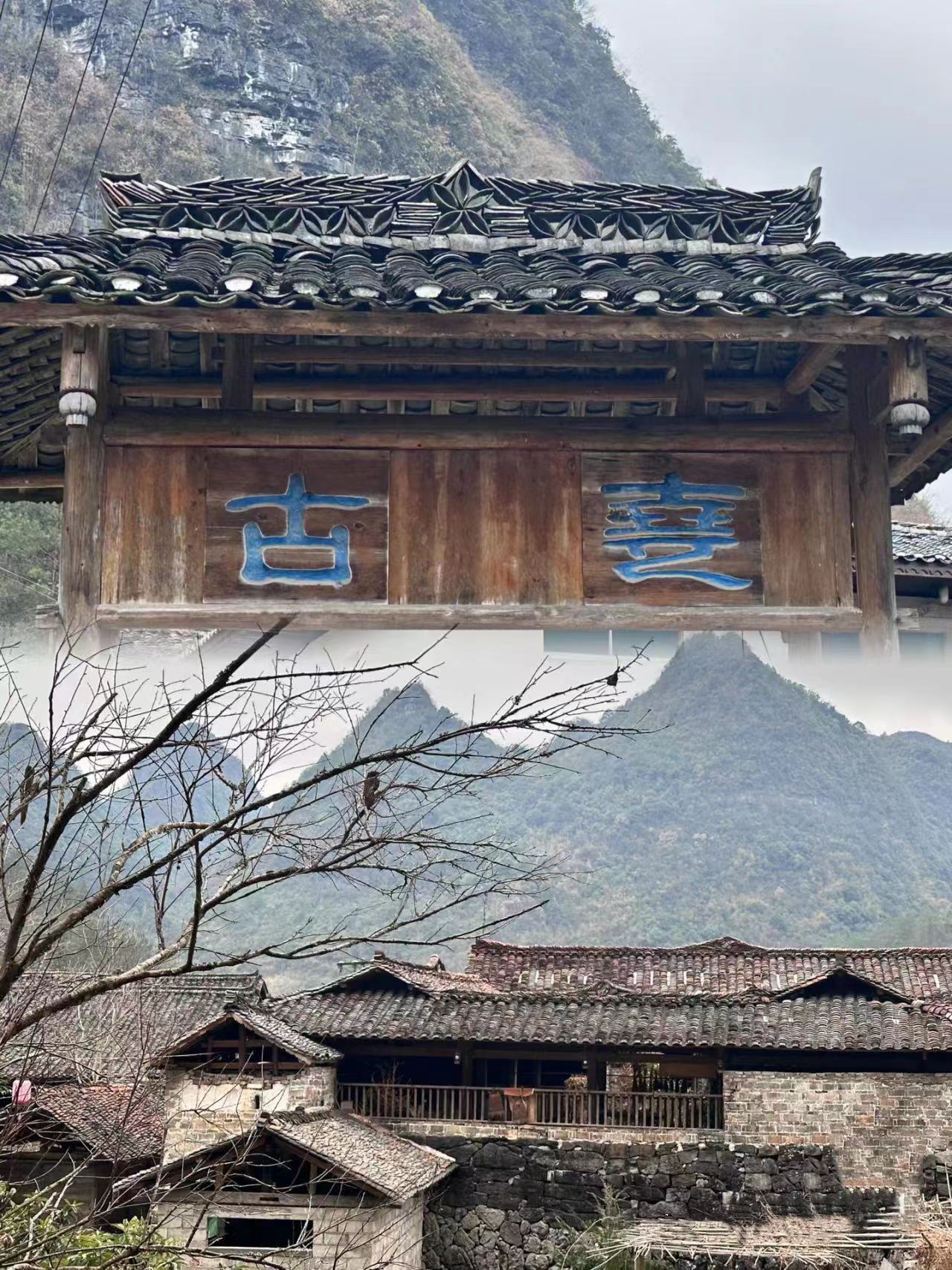 诸葛亮与“益肝草”